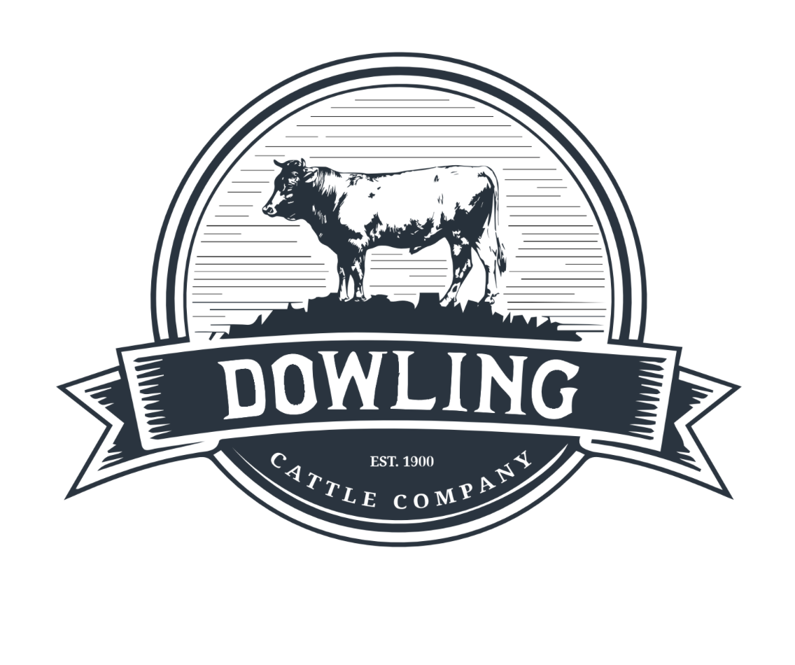 AgSwag Helping Dowling Cattle Company “Have the Best Logo in the Industry”