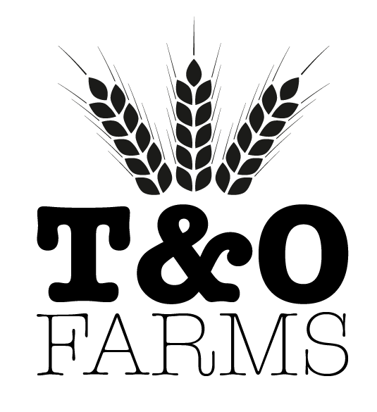 AgSwag Helping T&O Farms “Create the Best Logos in Western Kansas!”