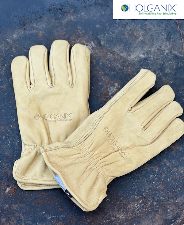 AS Holganix Gloves